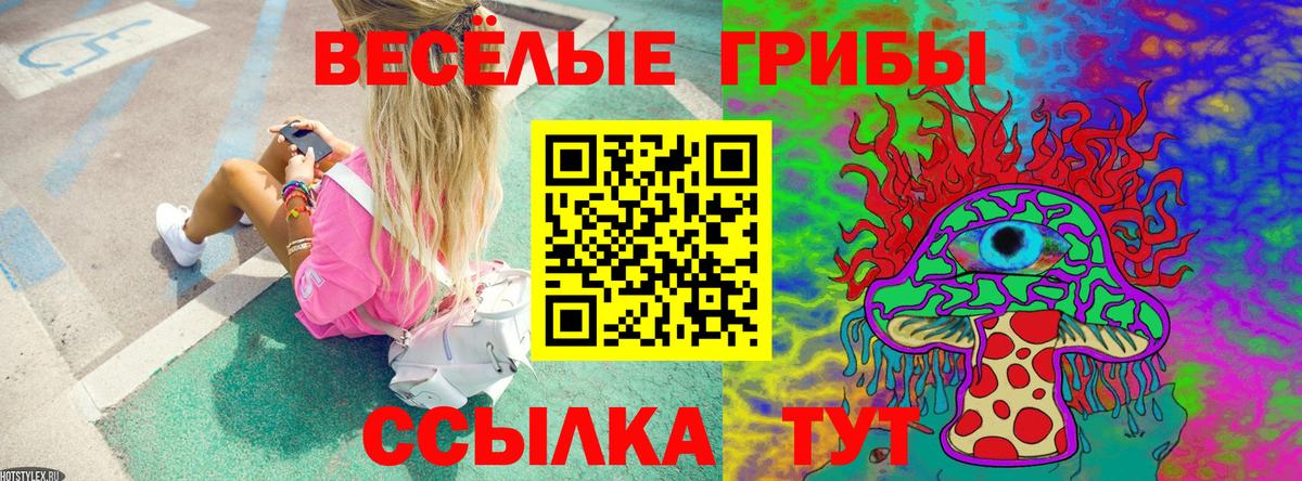 Похвистнево  Псилоцибиновые грибы Magic Shrooms  Вход с VPN 